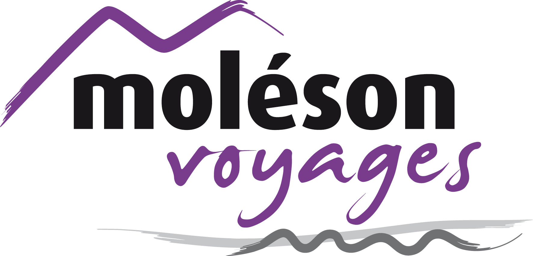 Moléson Voyages SA