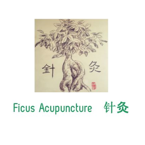 Ficus Acupuncture