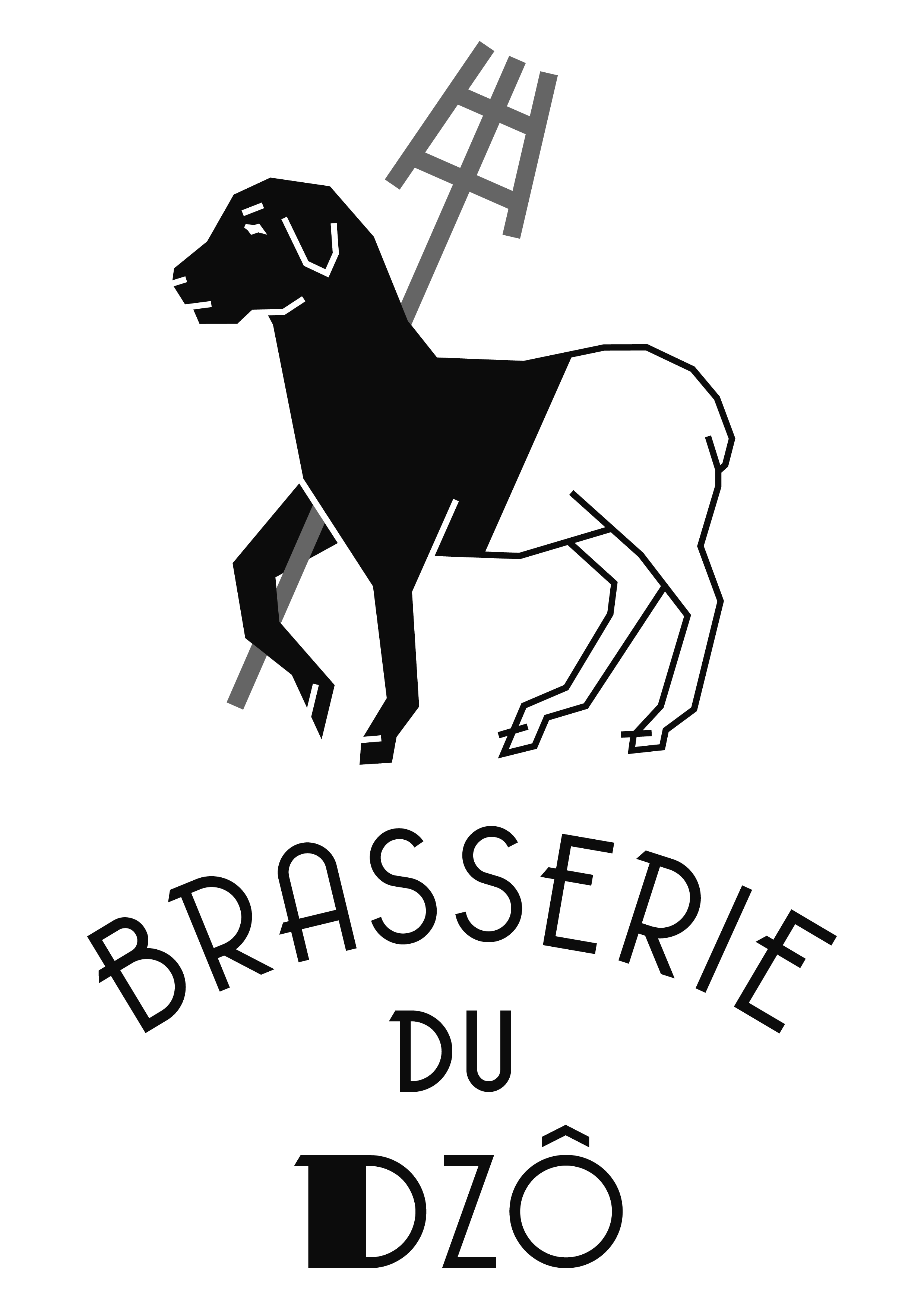 Brasserie du Dzô